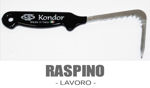 raspini-giorgio-liga