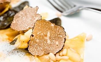 tartufo-liga-2