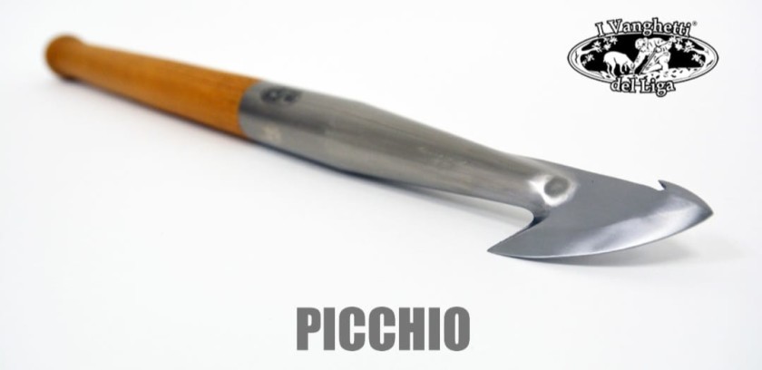 giorgio liga vanghetto picchio